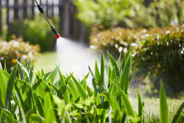 24/7 Emergency Ant Control experts in Marshall, VA