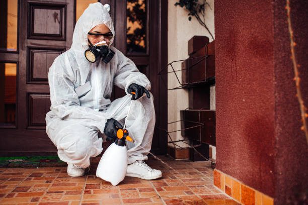 Reliable Ant Control contractor in Marshall, VA by Show Me Pest Control